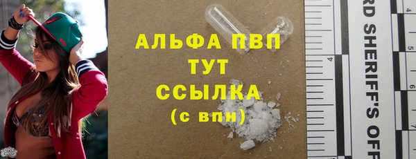 амф Пересвет