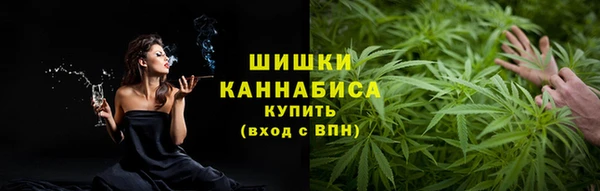 амф Пересвет