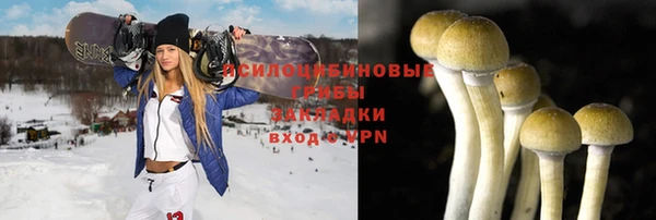 амф Пересвет
