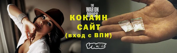 амф Пересвет