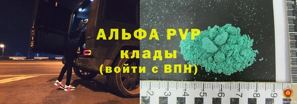 амф Пересвет